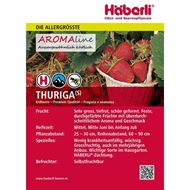 Image sur Plante de fraises THURIGA 3 barquettes à 4