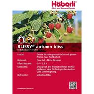Bild von Himbeeren Strauch BLISSY® autumn bliss 4 Stk.