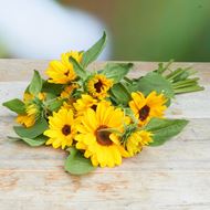 Image sur tournesols 'fraîchement du jardinier' à grandes fleurs 10 pièces