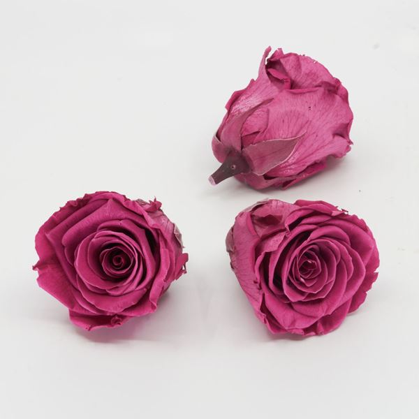 Image sur Rose lyophilisée 'rose' Ø6cm h5cm 3 pièces