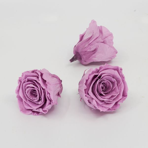 Image sur Rose lyophilisée 'violet' Ø6cm h5cm 3 pièces