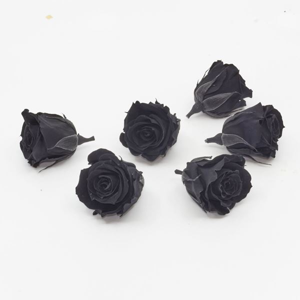 Image sur Rose lyophilisée mini 'noire' Ø4cm h3.5cm 6 pièces