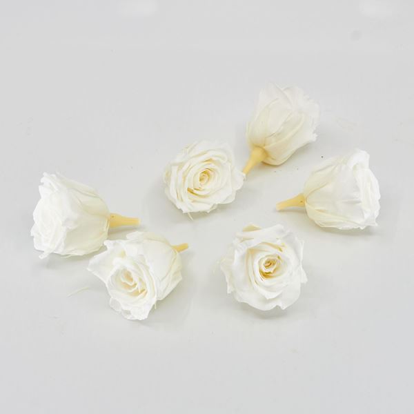Image sur Rose lyophilisée mini 'ivoire' Ø4cm h3.5cm 6 pièces