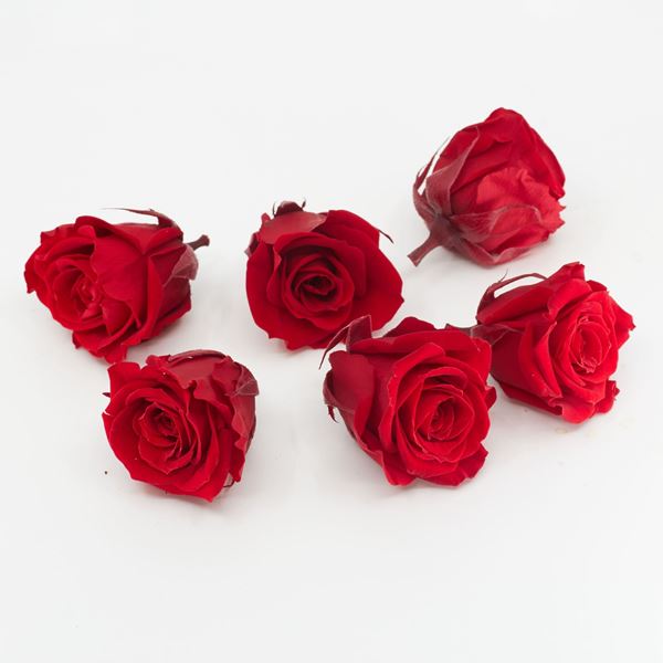 Image sur Rose lyophilisée mini 'rouge' Ø4cm h3.5cm 6 pièces