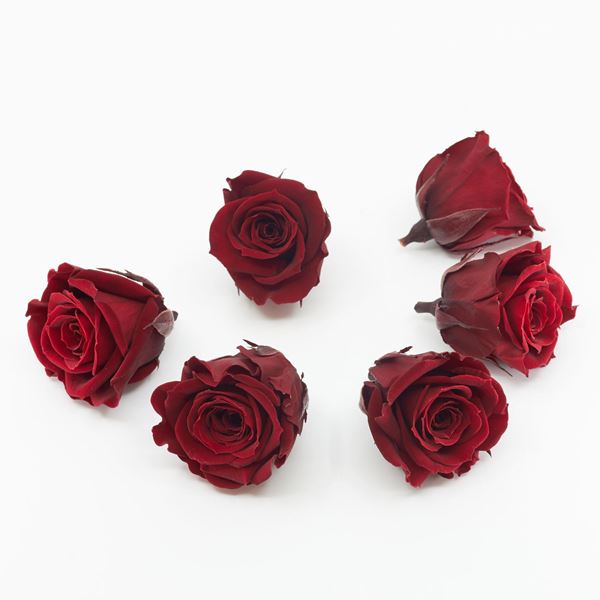 Image sur Rose lyophilisée mini 'bordeaux' Ø4cm h3.5cm 6 pièces