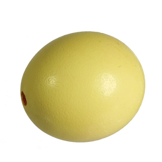 Image de œuf d'autruche 'soufflés' 1 pièce