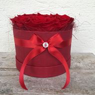 Eine edle Rosenbox - rund, in rot, mit 7 roten, echten, stabilisierten Rosen Ø ca. 15 cm