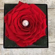 Image sur Boîte à bijoux noble avec rose stabilisée rouge et perle
