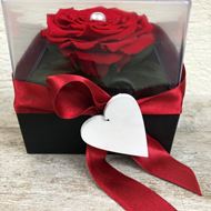 Bild von Edle Schmuckbox mit roter stabilisierter Rose und Perle
