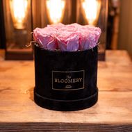 Rosenbox in Schwarz Samt, mit 8 stabilisierten Rosen Baby Pink, Ø 15 cm