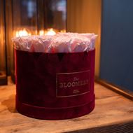 Rosenbox in Bordeauxrot Samt, mit 18 stabilisierten Rosen Pink Champagne Ø 23 cm 