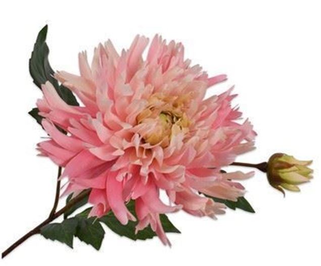Chrysantheme rosa 78cm