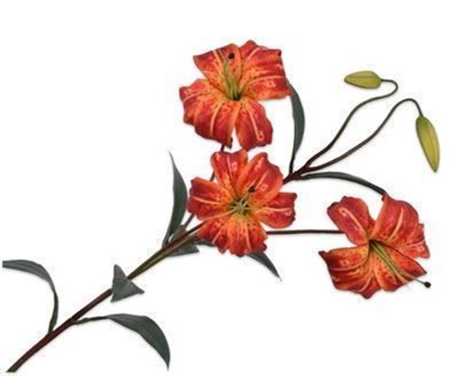 Lilie orange, rot 100cm