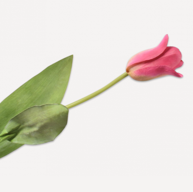 Tulpe pink 70cm
