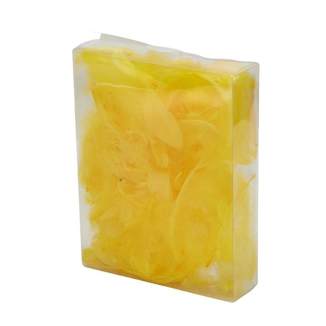 Image de Plumes "colorées" en boîte de 20 g, jaunes