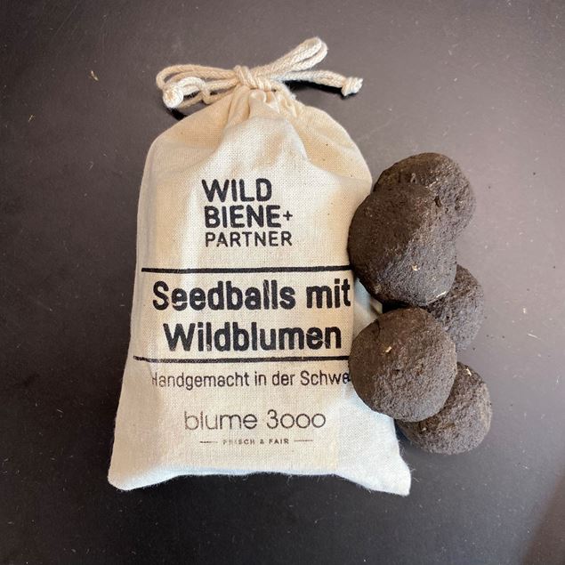 Seedballs ( Wildblumen )