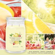 Bild von Iced Berry Lemonade Signature Large Jar