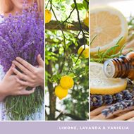 Bild von Lemon Lavender large Jar (gross/grande)