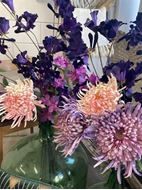 Bild von Chrysantheme purple 78cm