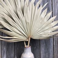 Decorative Palmblätter mit Keramik Vase