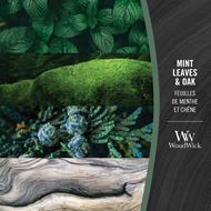 Bild von Mint Leaves & Oak Ellipse