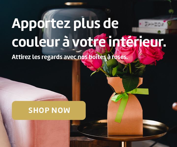 Apportez plus de couleur à votre intérieur. Attirez les regards avec nos boites à roses.