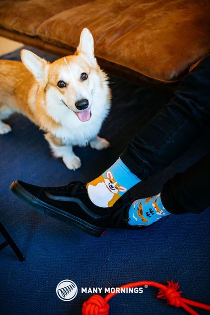 Image de Playful Dog Socks