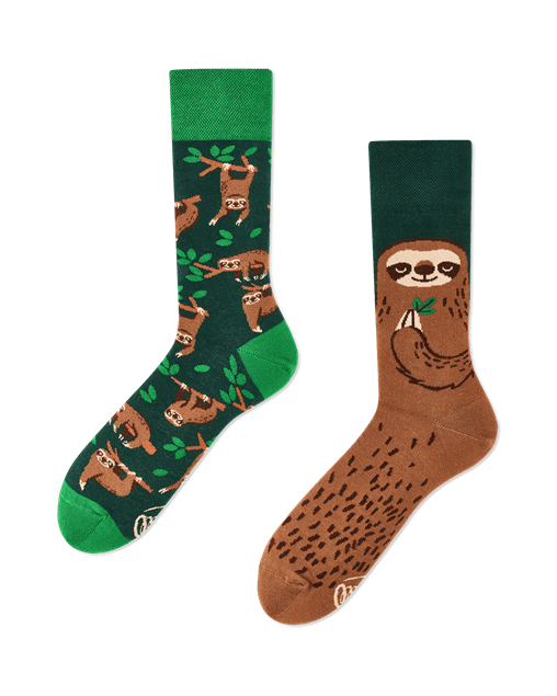 Image de Sloth Life Socks