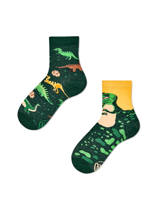 Image de The Dinosaurus Socks Kids