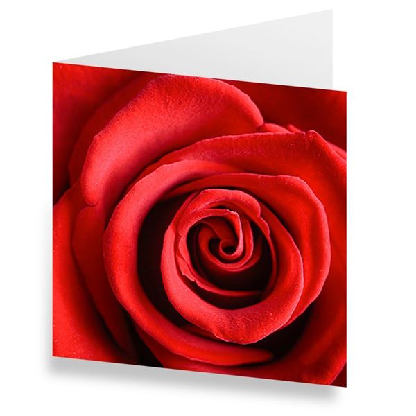 Image sur Cartes «Rose» (Set de 10)