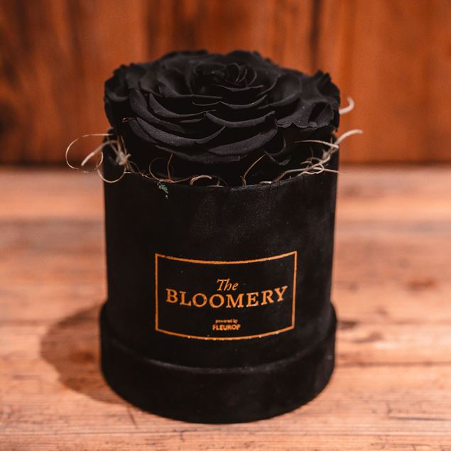 Black Edition Rosenbox in Schwarz Samt, mit 1  stabilisierten Rose Schwarz,  Ø 10 cm