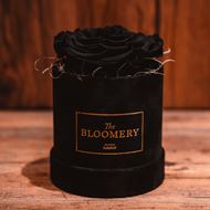 Black Edition Rosenbox in Schwarz Samt, mit 1  stabilisierten Rose Schwarz,  Ø 10 cm