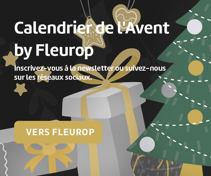 Calendrier de l'Avent by Fleurop. Inscrivez-vous à la newsletter ou suivez-nous sur les réseaux sociaux.