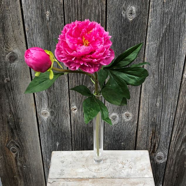 Pfingstrosen Paeonia Blüte mit Vase (Kunstblumen)